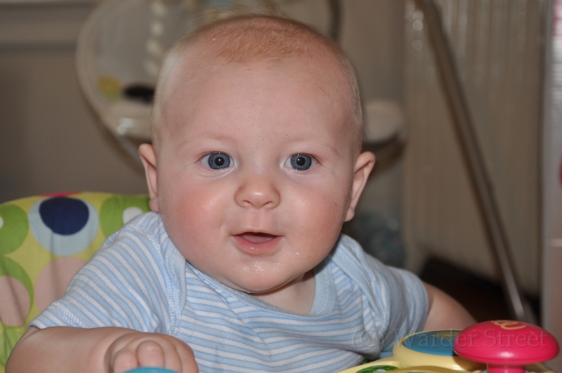 William's Sixteenth Week 06.jpg